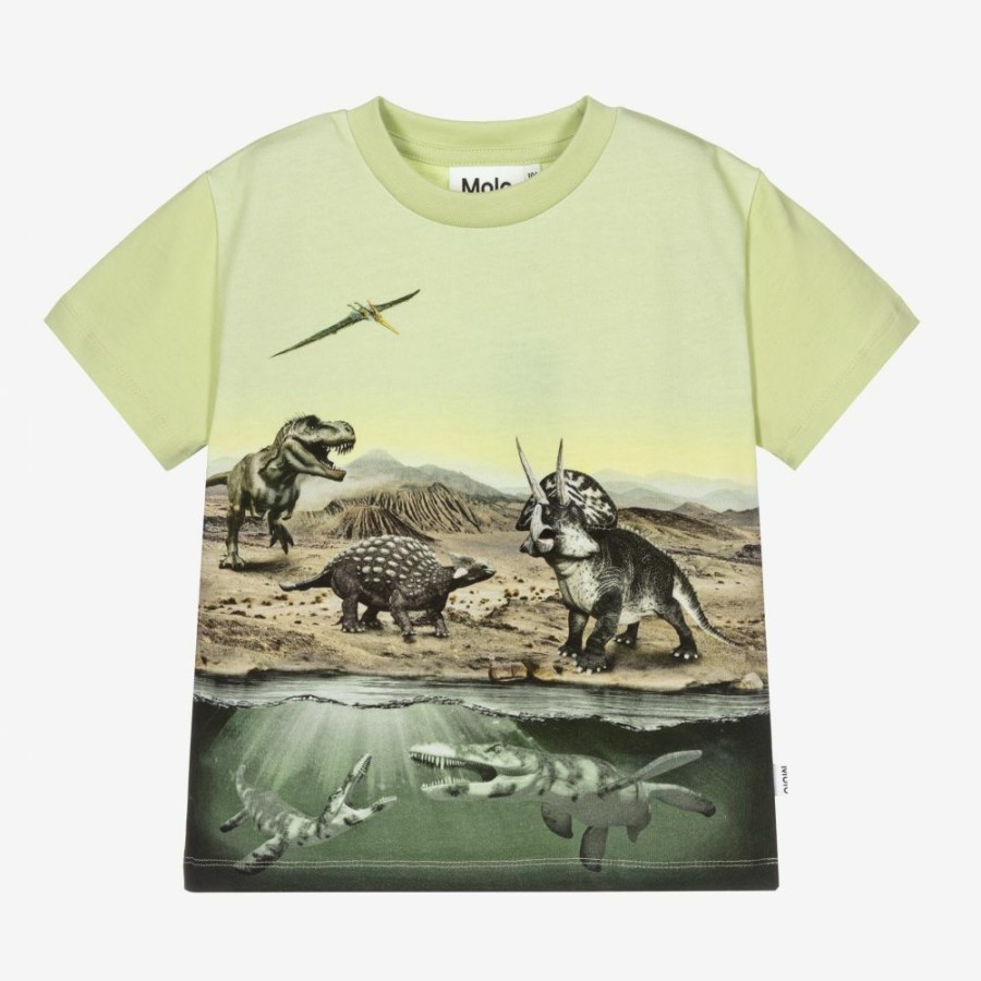 * Tops | Best Sale Boys Green Cotton T-Shirt